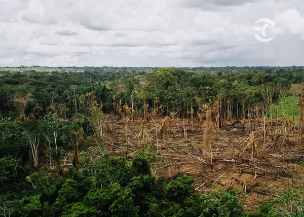 Estado de Acre declara emergencia ambiental ante sequía en la Amazonia