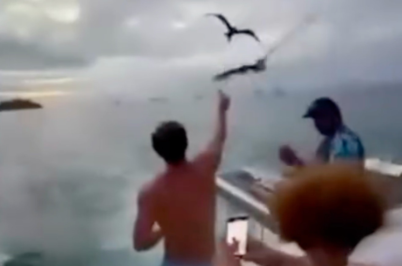 Carlinhos Maia critica multa de R$ 1 milhão recebida em Fernando de Noronha: ‘É absurda’