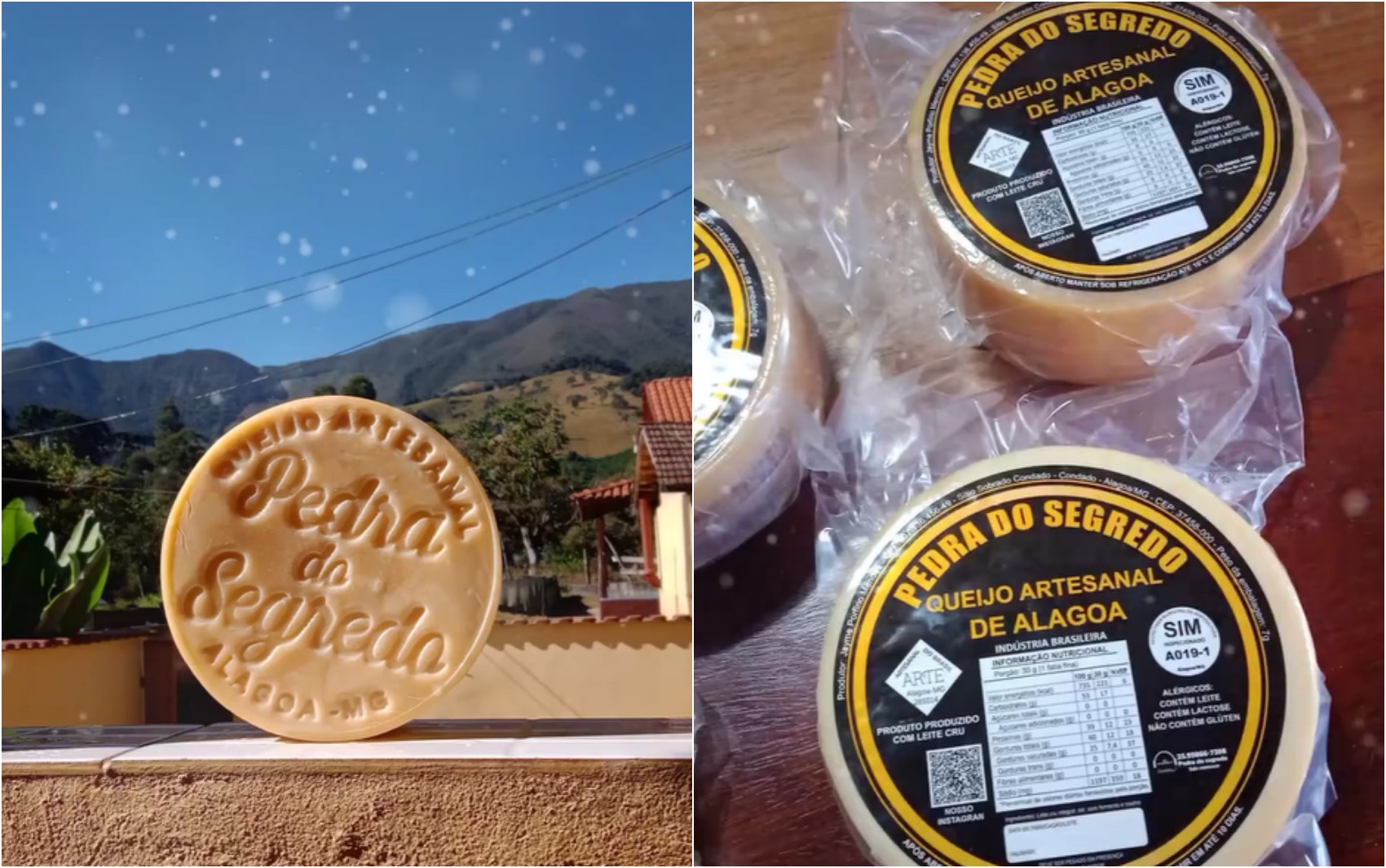 Queijo artesanal produzido no Sul de Minas vence principal prêmio em concurso internacional