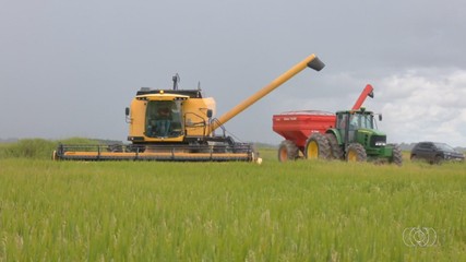 Confira o giro de notícias do Jornal do Campo para todo estado