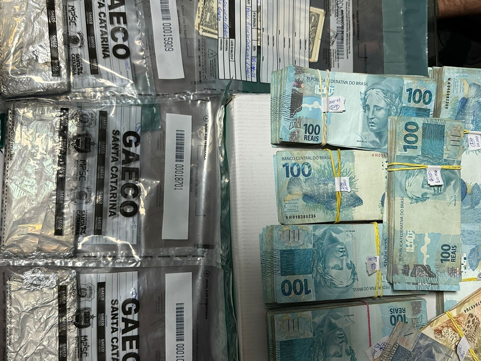 Esquema de jogo do bicho com sistema de plantão e lavagem de dinheiro é descoberto no Paraná 