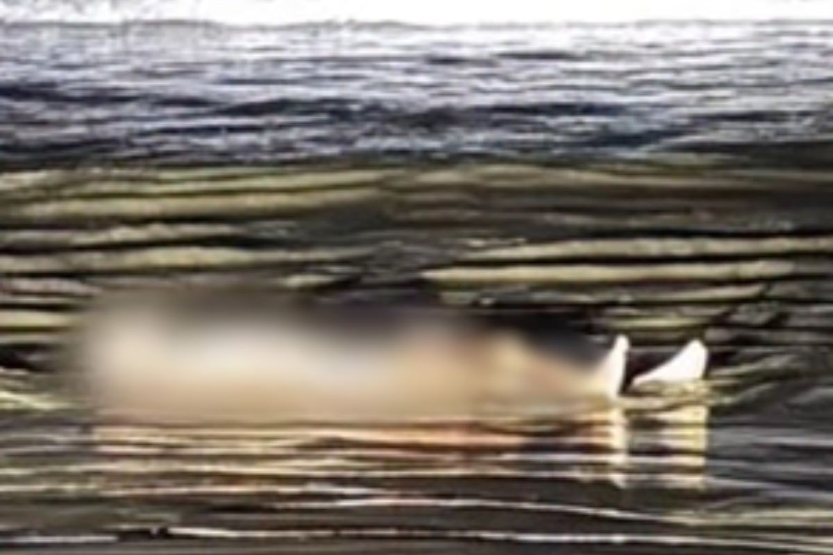 Homem nu é encontrado morto em praia do litoral de SP