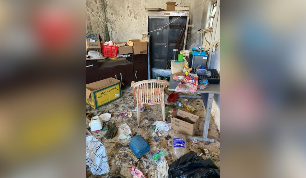 A Polícia Militar encontrou um cachorro morto e outro em condições precárias dentro de uma residência — Foto: ONG Spaddes/Reprodução