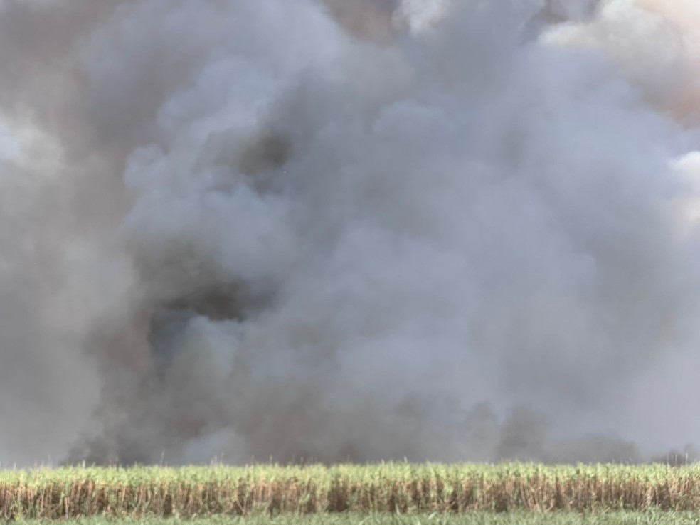 Cortina de fumaça se forma durante incêndio em canavial de MT — Foto: Willian Tessaro