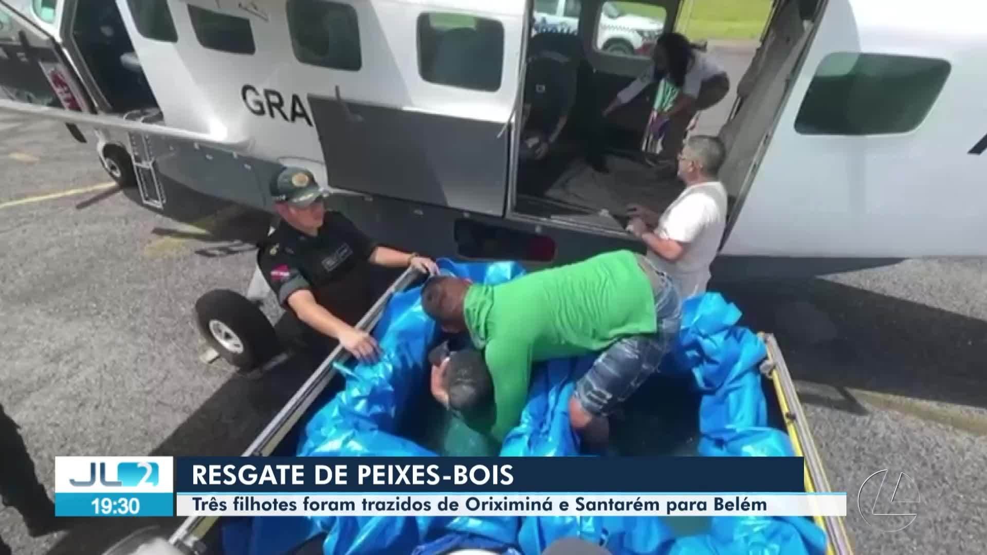 VÍDEOS: JL2 de quarta-feira, 30 de abril de 2025
