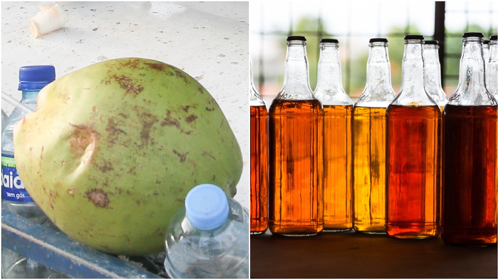 Governo do Ceará anuncia compra de água de coco e cajuína após tarifaço dos EUA
