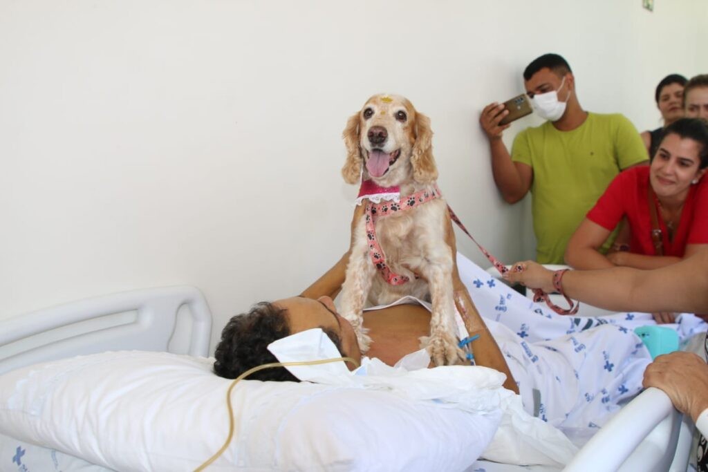 Paciente do Huse recebe visita especial de animal de estimação em Aracaju