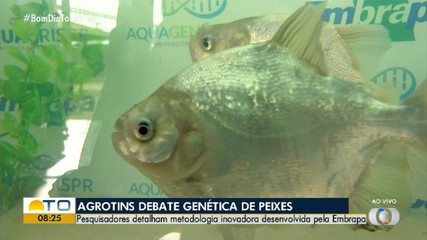 Embrapa apresenta inovação genética para peixes na Agrotins