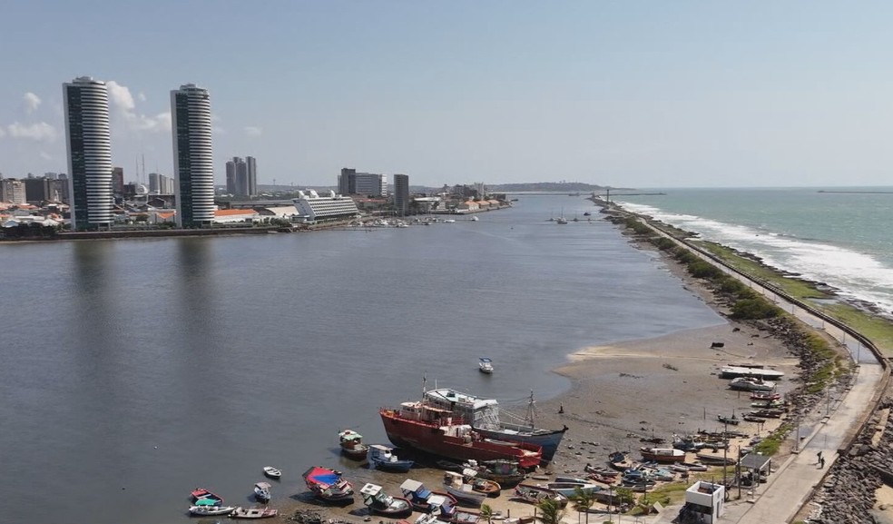 Pescadores denunciam queda na pesca após dragagem do Porto do Recife — Foto: Reprodução/TV Globo