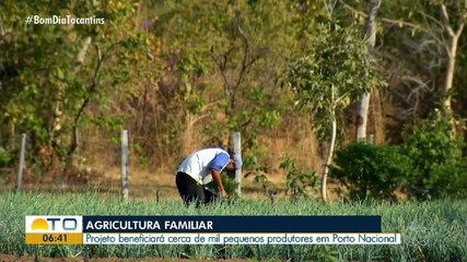 Projeto pretende beneficiar cerca de mil famílias de pequenos agricultores em Porto Nacion