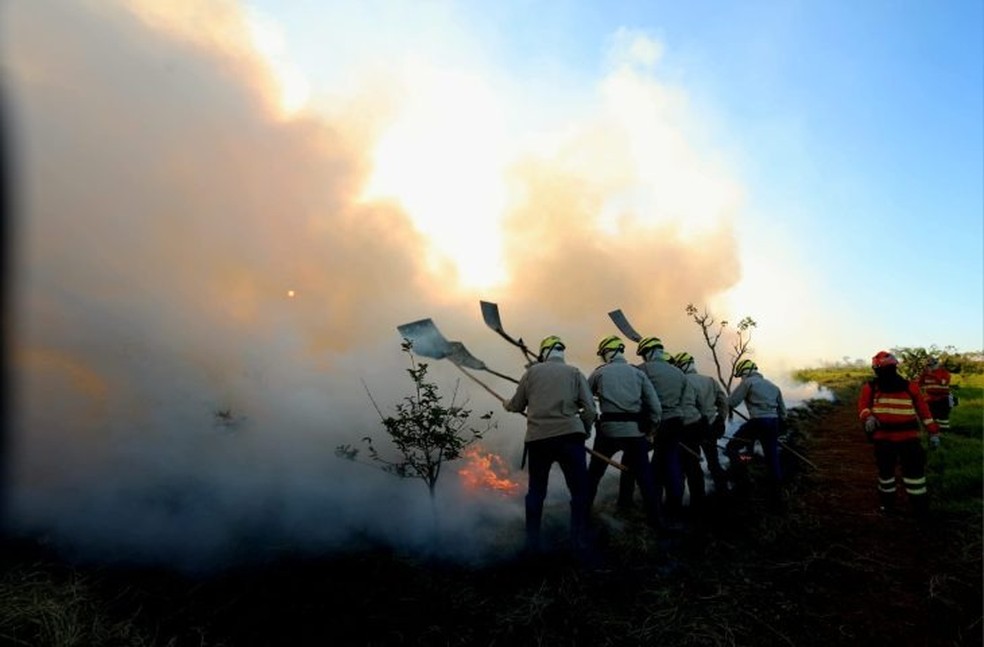O PSA Brigadas, vai remunerar os projetos que tenham a finalidade de prevenção e combate aos incêndios — Foto: Governo MS