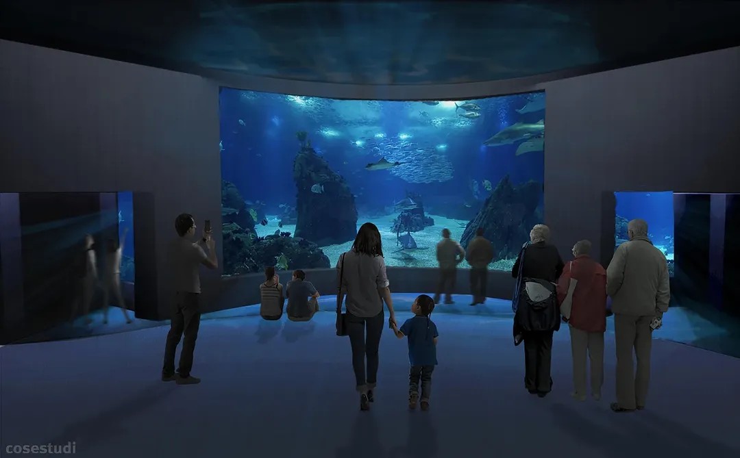 Novo aquário de Foz do Iguaçu realiza feirão com mais de 150 vagas de emprego; saiba como participar