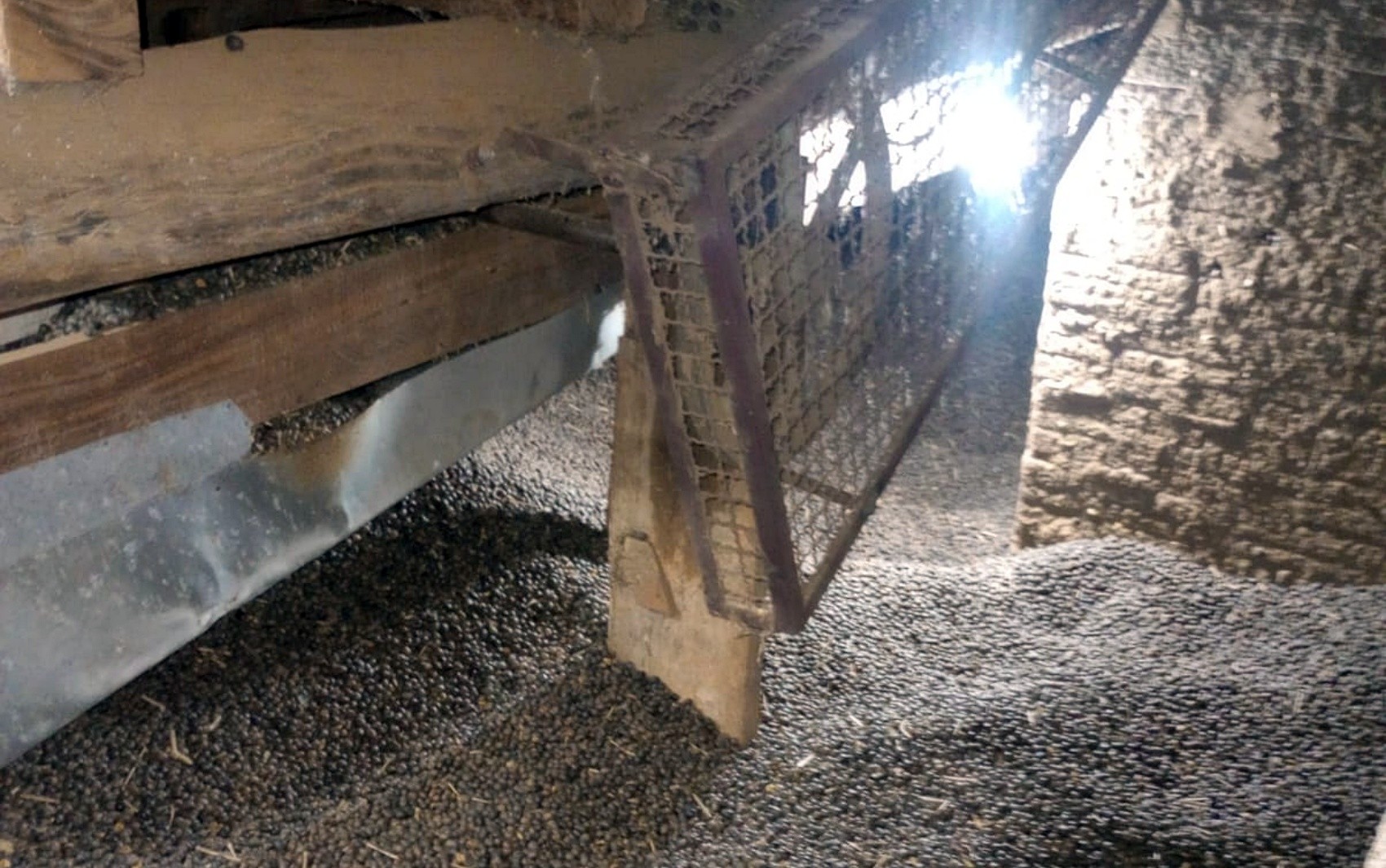 Mulher morre soterrada em silo de café na zona rural de Guaranésia, MG
