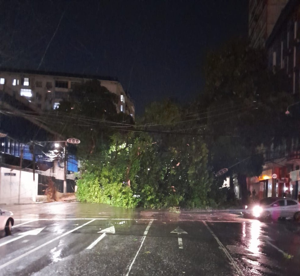 Temporal causa estragos e queda de energia em Belém. — Foto: Divulgação