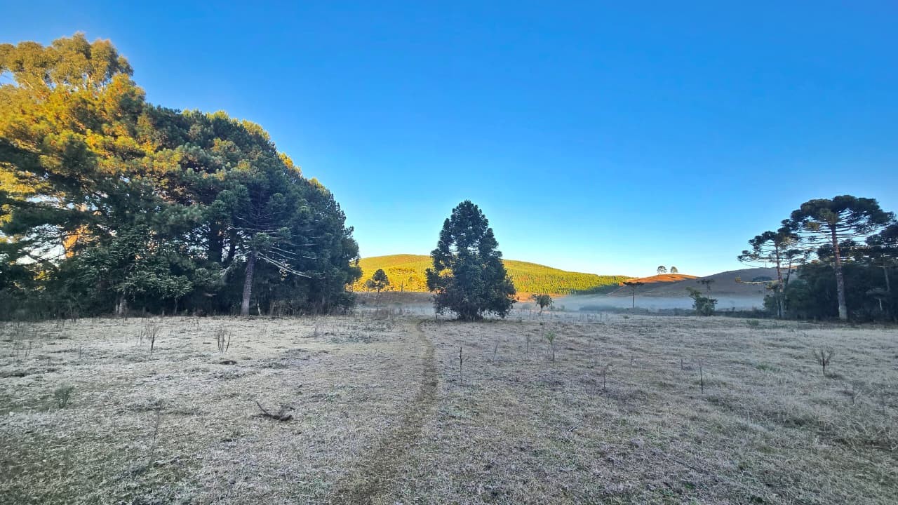 Frio abaixo de 0°C congela a paisagem e forma geada na Serra de SC