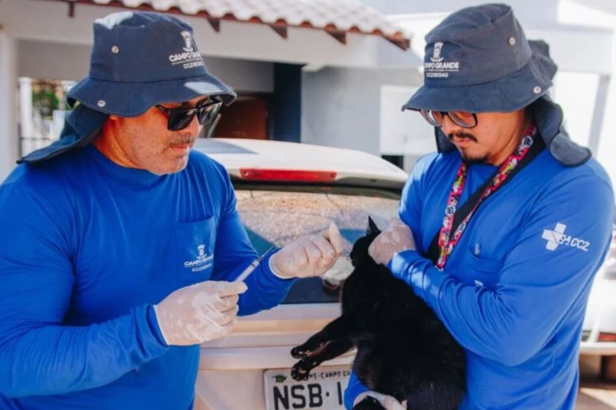 Vacinação antirrábica gratuita neste sábado atende cães e gatos em Campo Grande