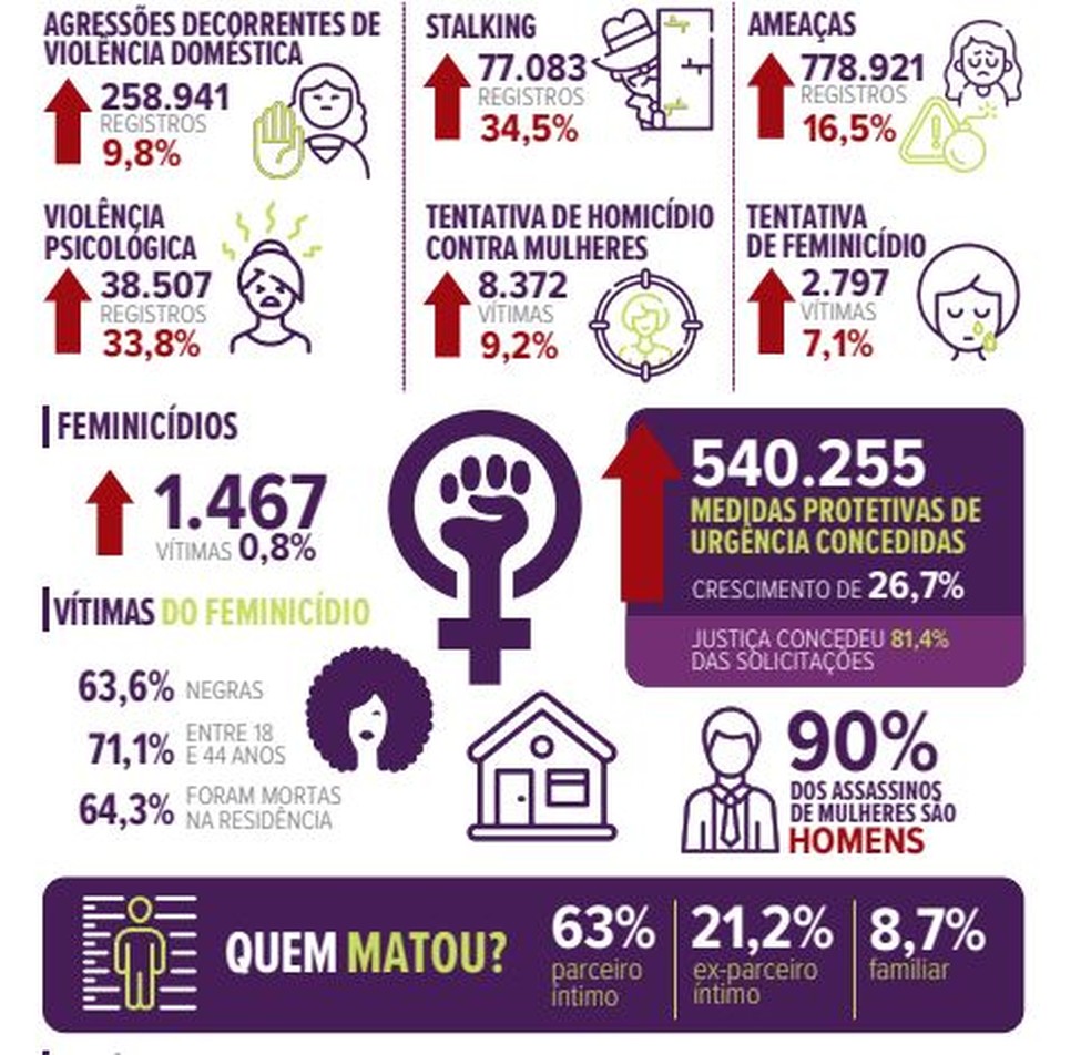 Dados do 18º Anuário Brasileiro de Segurança Pública sobre violência contra a mulher — Foto: Arte/Anuário Brasileiro de Segurança Pública