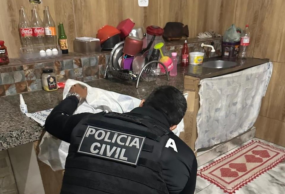 Na ação também foram cumpridos oito mandados de busca e apreensão domiciliar — Foto: Polícia Civil de Mato Grosso