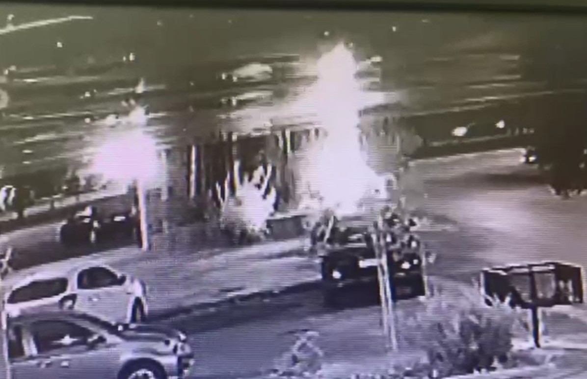 Câmeras flagram homem ateando fogo em gameleira de 40 anos em Brasília; polícia investiga crime ambiental