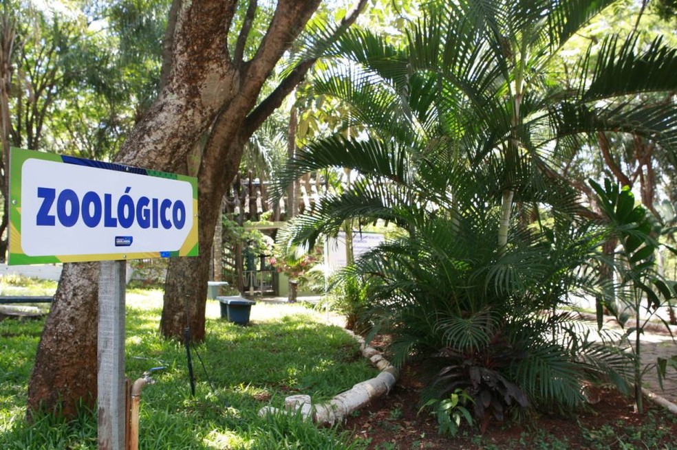 Zoológico de Uberlândia — Foto: Cleiton Borges/Prefeitura de Uberlândia