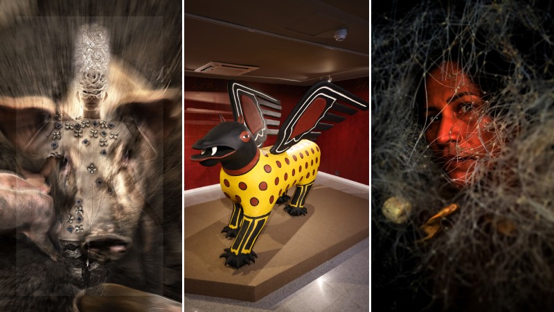 Últimos dias! Exposições no Espaço Cultural Unifor ficam em cartaz até domingo