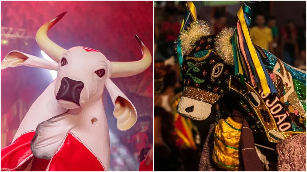 Boi Bumbá e Bumba Meu Boi possuem diferenças — Foto: Montagem/g1