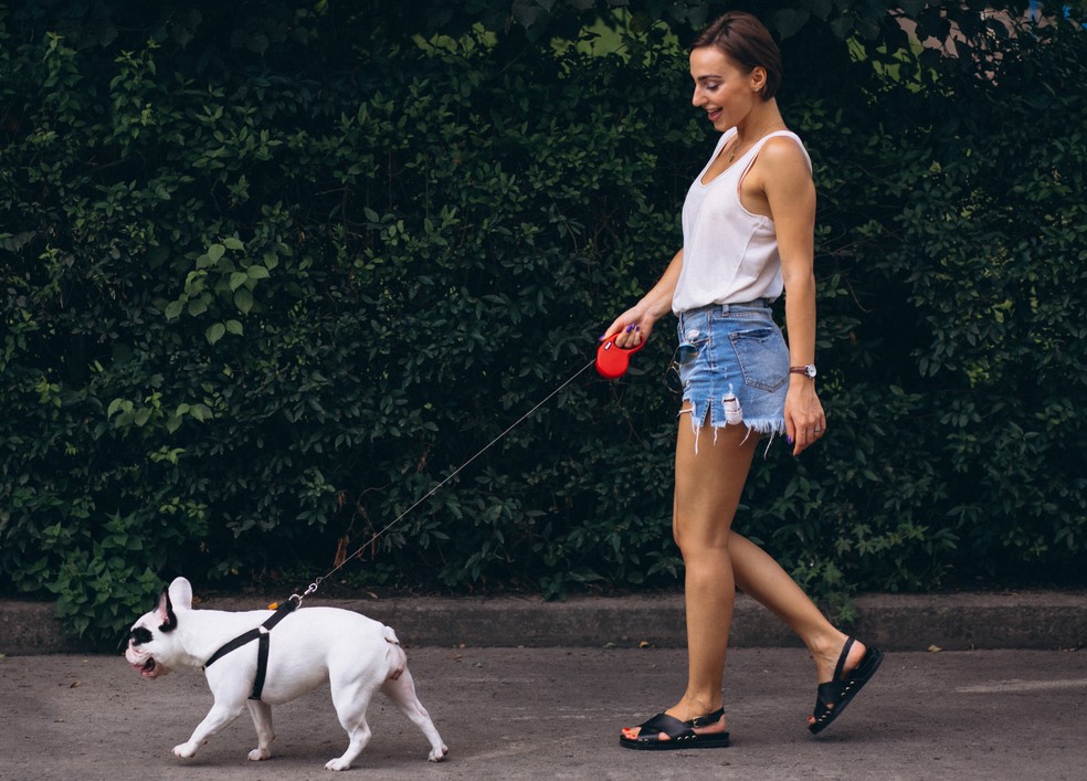 Caminhar com o pet pode ser uma forma de atividade física — Foto: Foto: senivpetro/Freepik