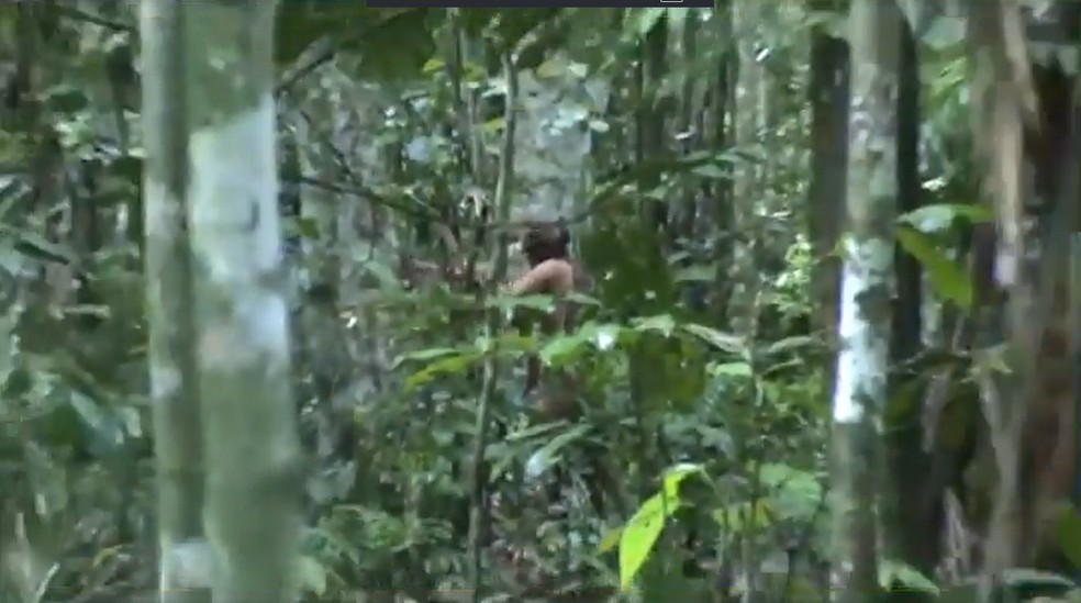 Registro de indígena isolado - Amazônia  — Foto: reprodução Fantástico