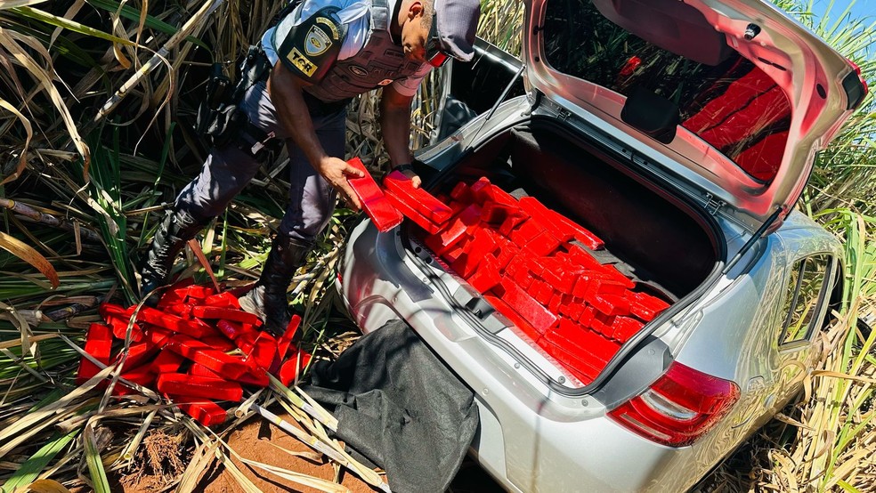 Polícia Militar Rodoviária apreendeu 304,5 kg de maconha em Quatá — Foto: Polícia Militar Rodoviária/Divulgação