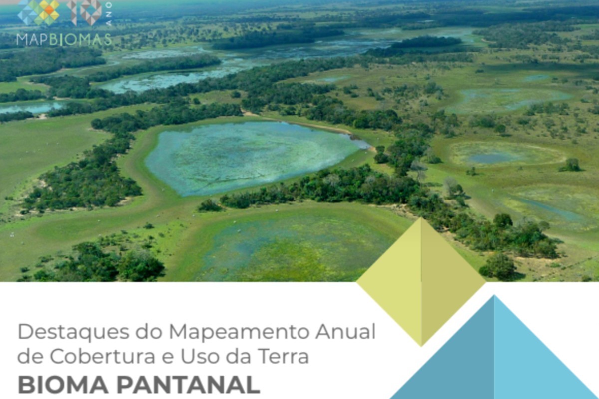 Pantanal tem o período mais seco dos últimos 40 anos 