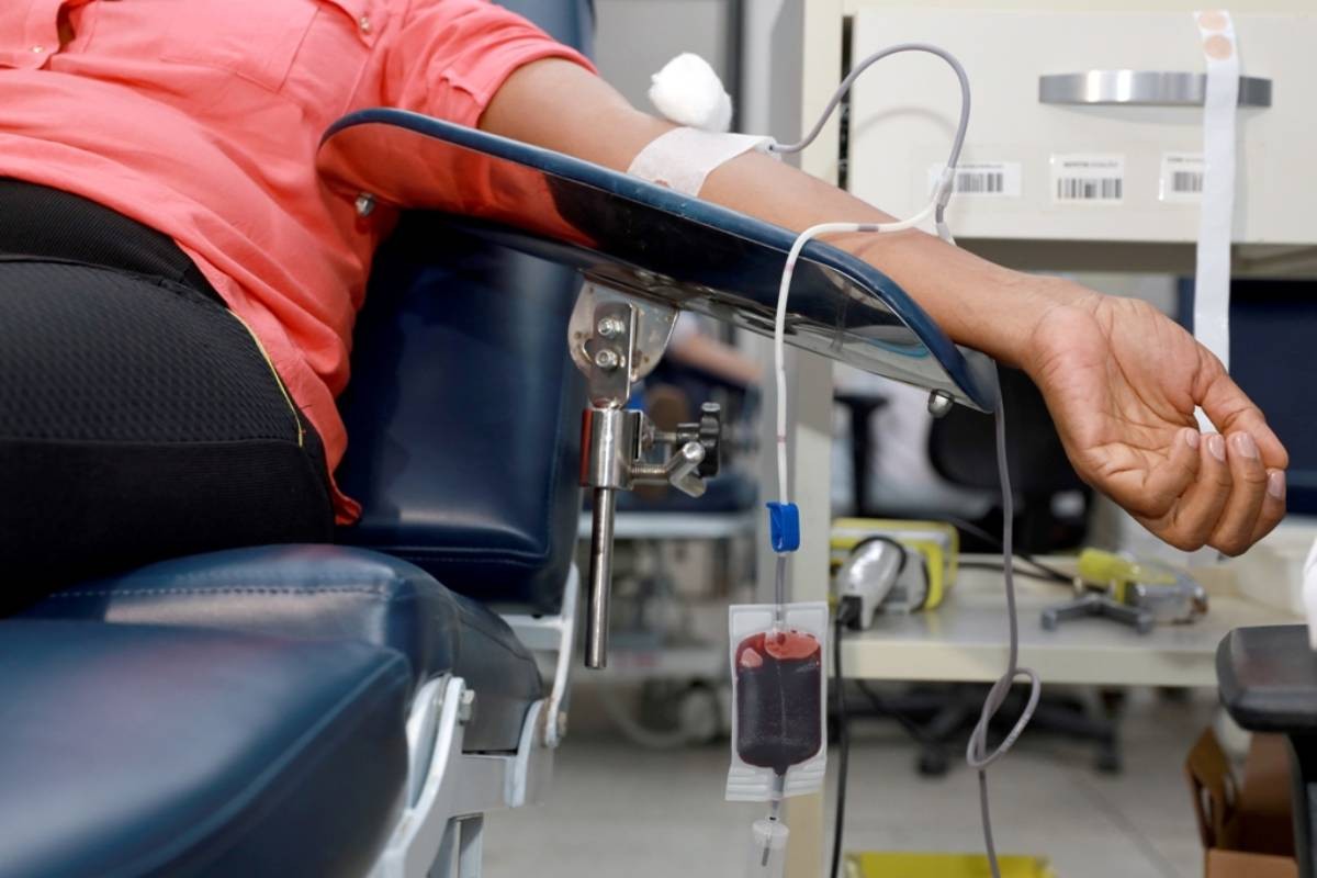 Hemoba adota novos critérios para doação de sangue a partir de 1° de outubro; veja regras