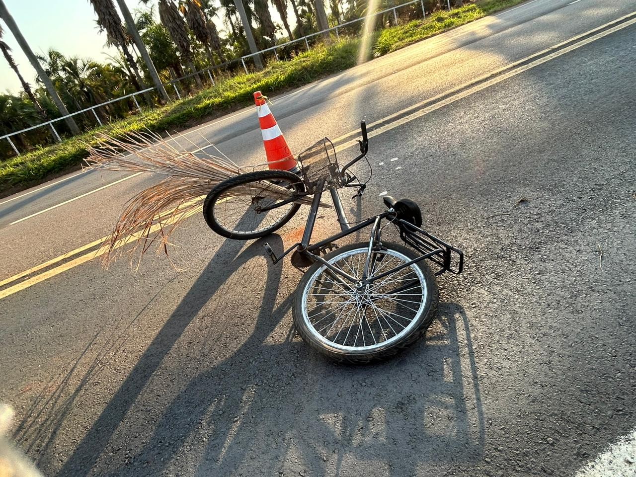 Ciclista morre após bater em caminhão ao tentar atravessar rodovia em Artur Nogueira