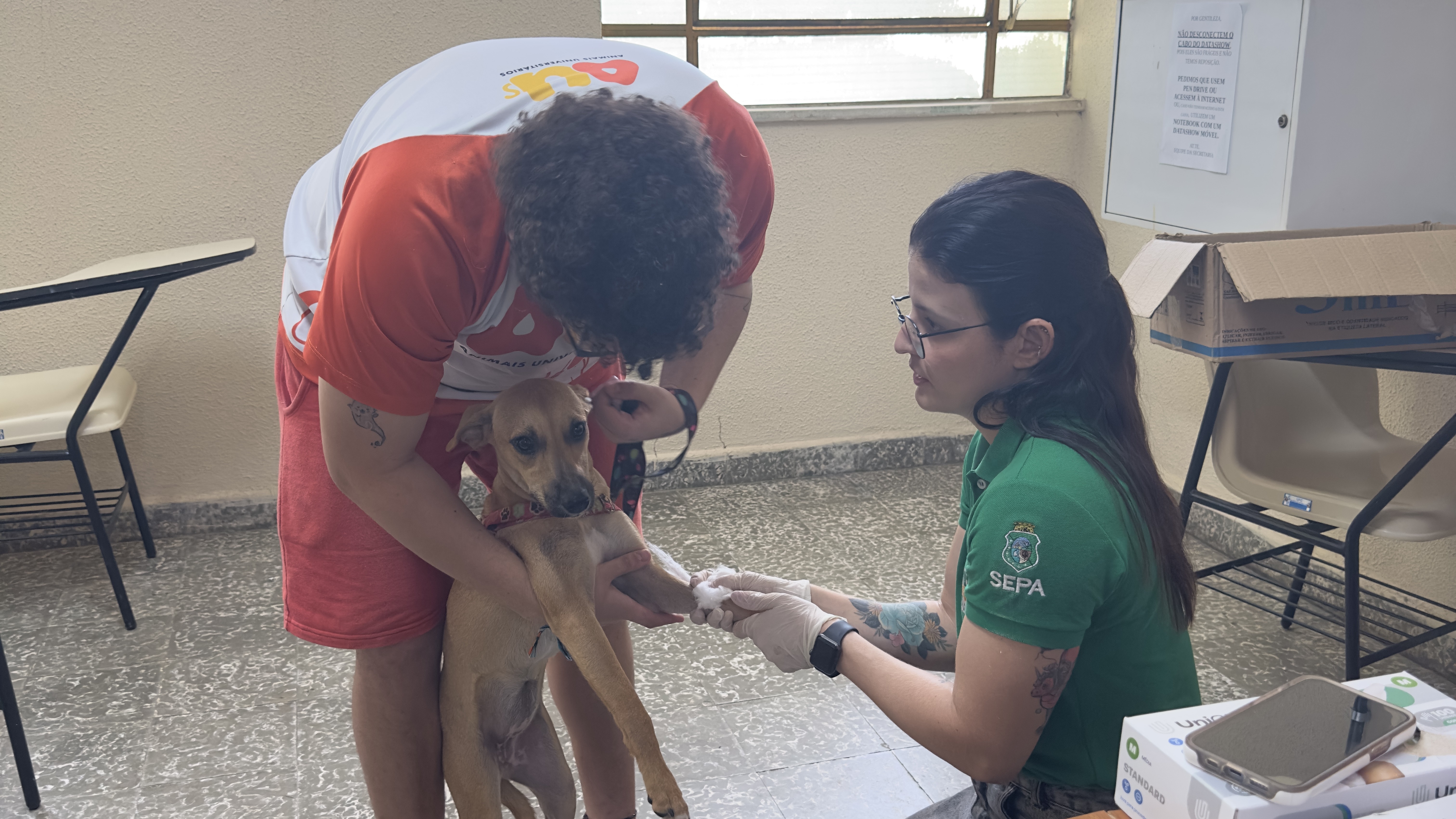 Secretaria realiza castração de animais em situação de abandono nos campi da UFC