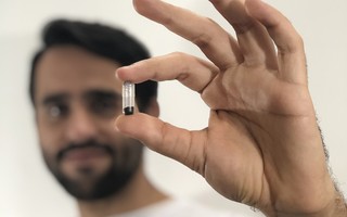 Minicápsulas com mosquito transgênico reduzem população do Aedes em 95% em Indaiatuba