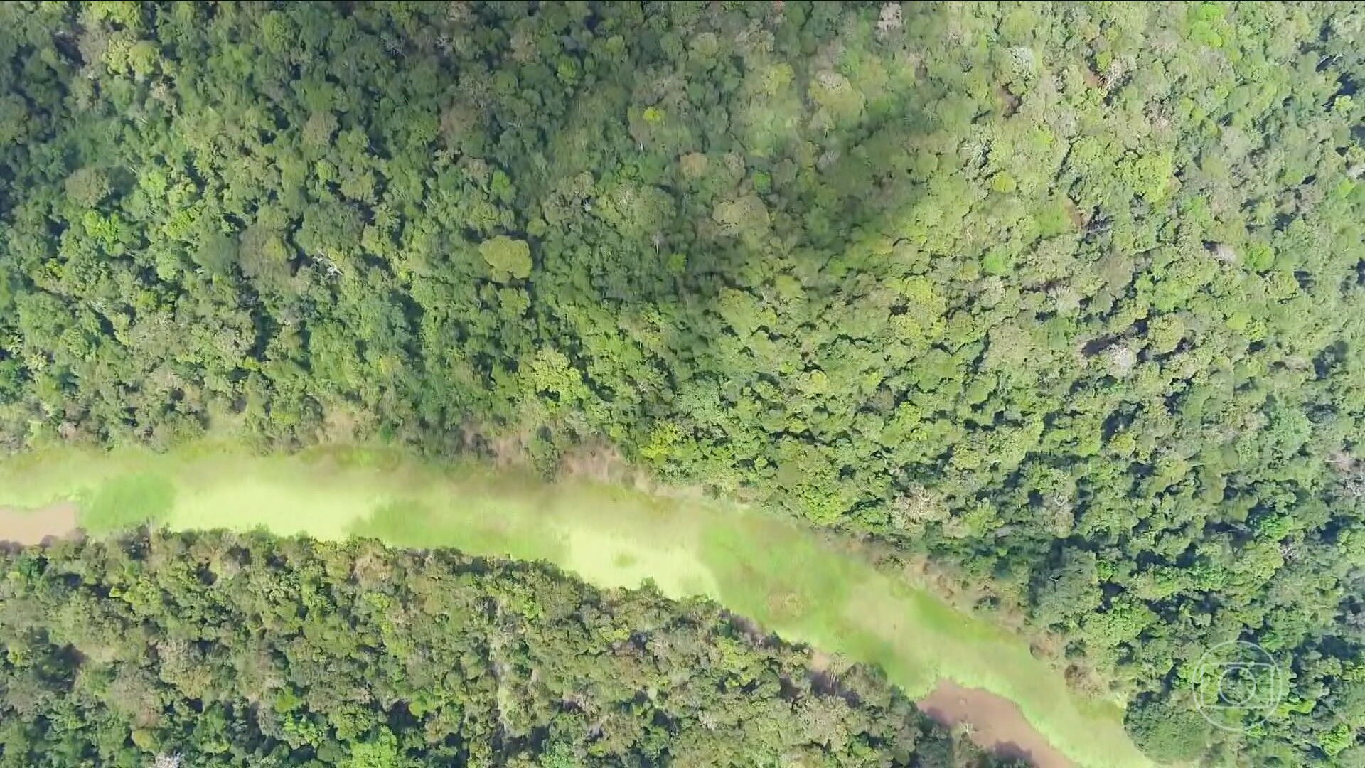 Veja o que saiu e o que ficou na lei sancionada por Lula que afrouxava regras do licenciamento ambiental