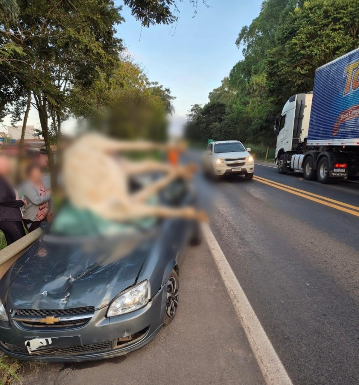 Cavalo fica preso no para-brisa após ser atingido por carro em MG