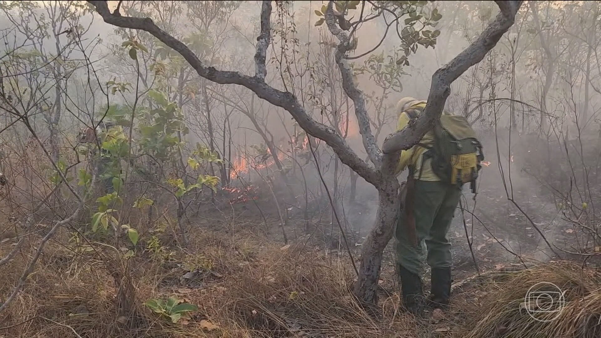 Avanço de incêndios em áreas protegidas muda planos da força-tarefa que atua na Chapada dos Veadeiros, em Goiás