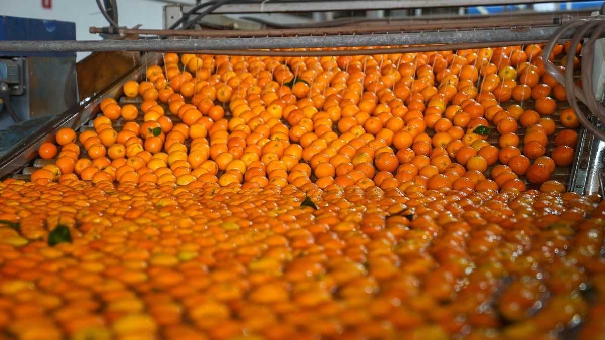 Laranja store