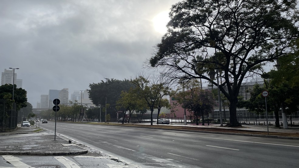 Rua na Zona Sul da capital paulista, em junho de 2023 &mdash; Foto: Renata Bitar/g1