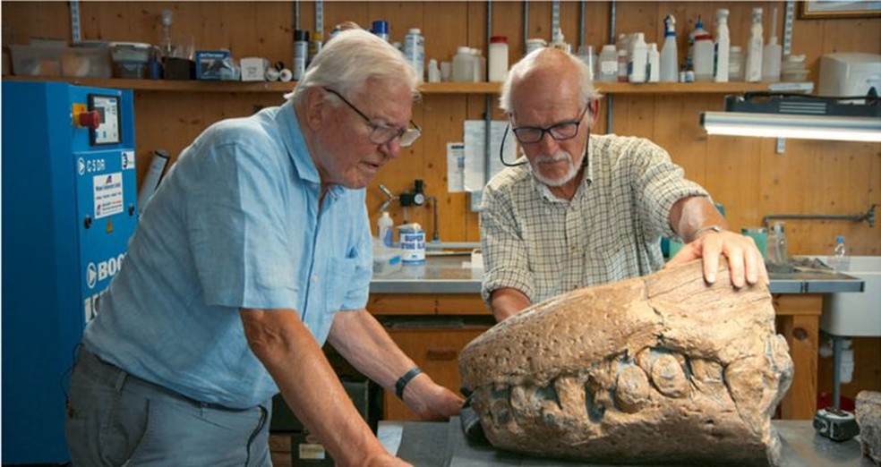 Steve Etches mostra crânio de dinossauro a David Attenborough, apresentador da BBC — esta é a primeira peça a ser encontrada — Foto: BBC