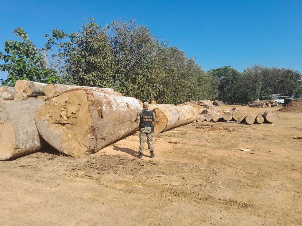 Operação investiga exploração da TI Uru Eu Wau-Wau — Foto: Polícia Federal/Divulgação