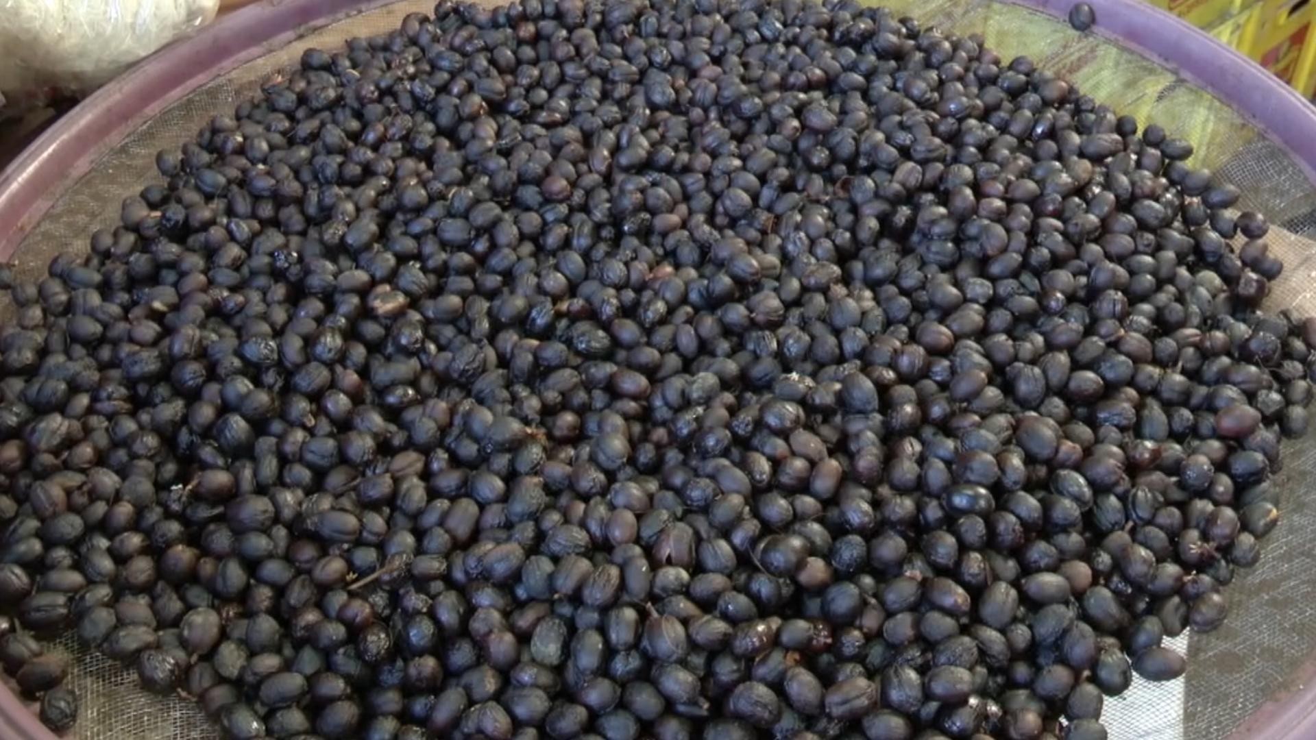 Café da região norte do Paraná conquista selo de indicação geográfica 