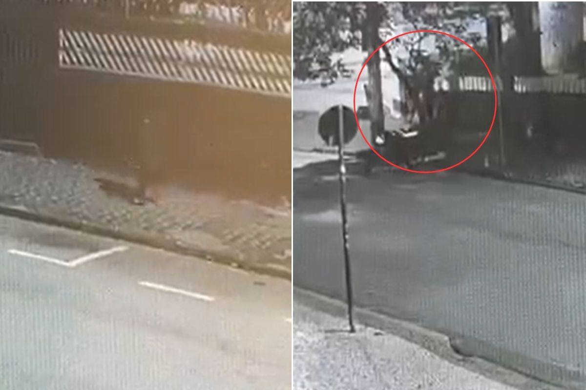Vídeo mostra ataque de homem que matou a ex a facadas no litoral de SP; VEJA