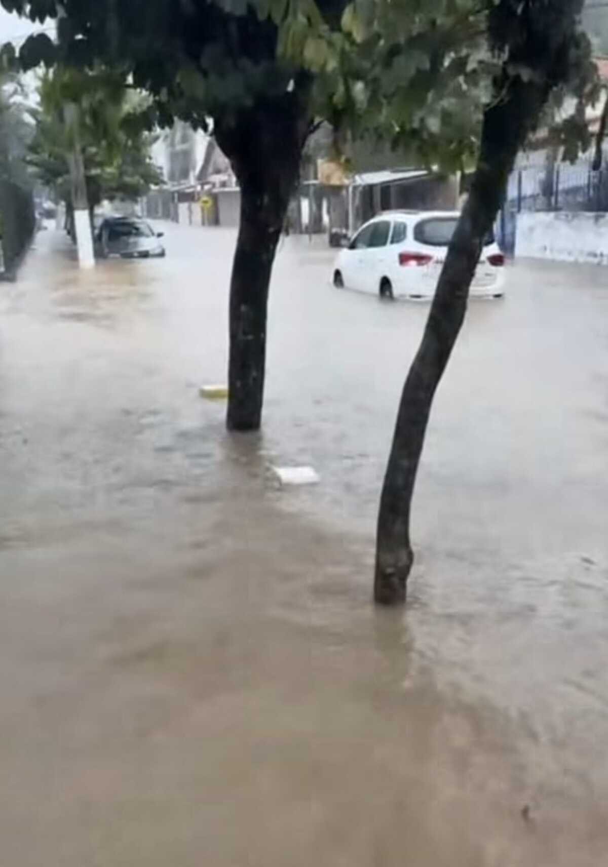 VÍDEO: Chuva de 95 mm mobiliza Defesa Civil, causa alagamentos e queda de árvore em Vassouras