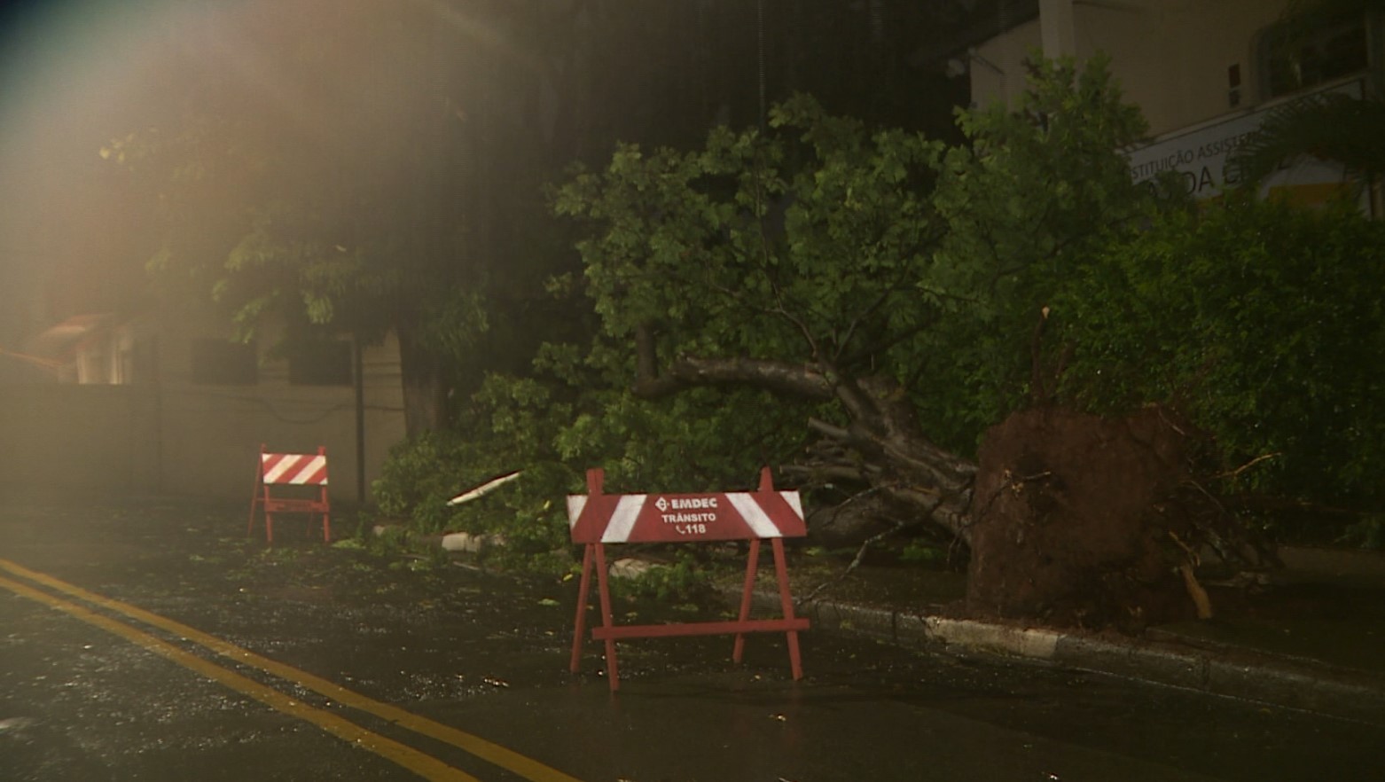 Tempestade no primeiro dia de 2026 provoca quedas de árvores e alagamentos na região de Campinas