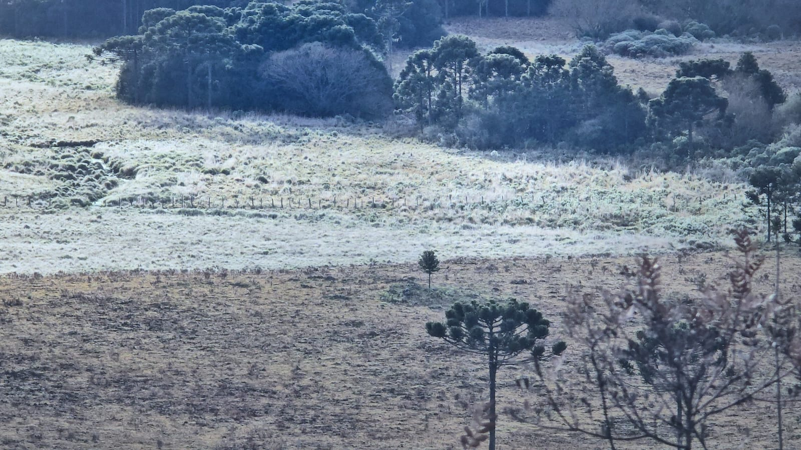 Feriado começa com frio, geada e temperaturas negativas na Serra de SC; VÍDEO