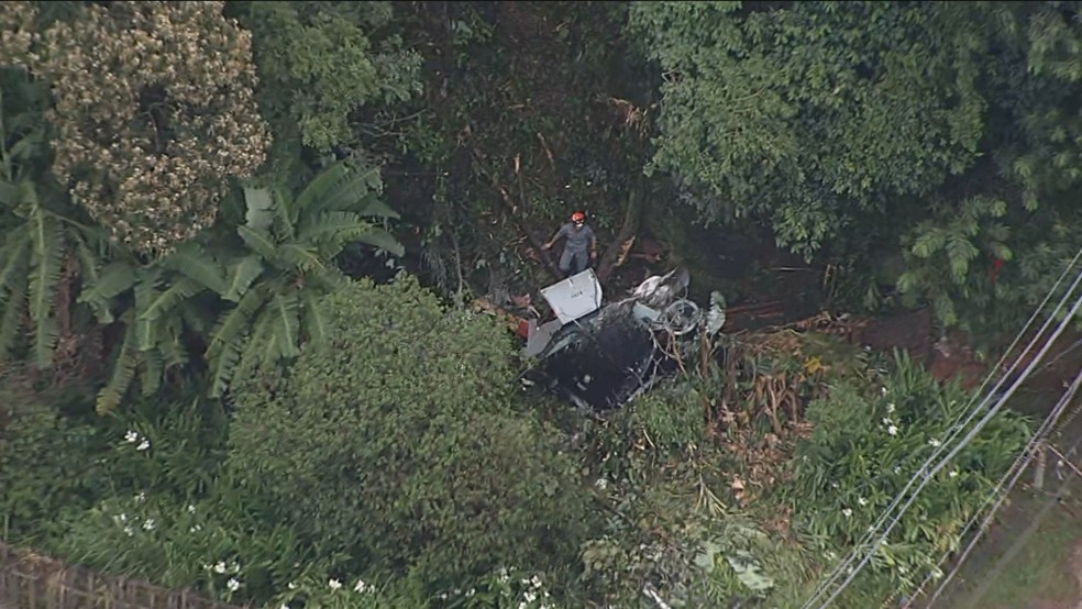 Trecho de mata em Barueri, na Grande SP, em que caiu uma aeronave de pequeno porte — Foto: Reprodução/GloboNews