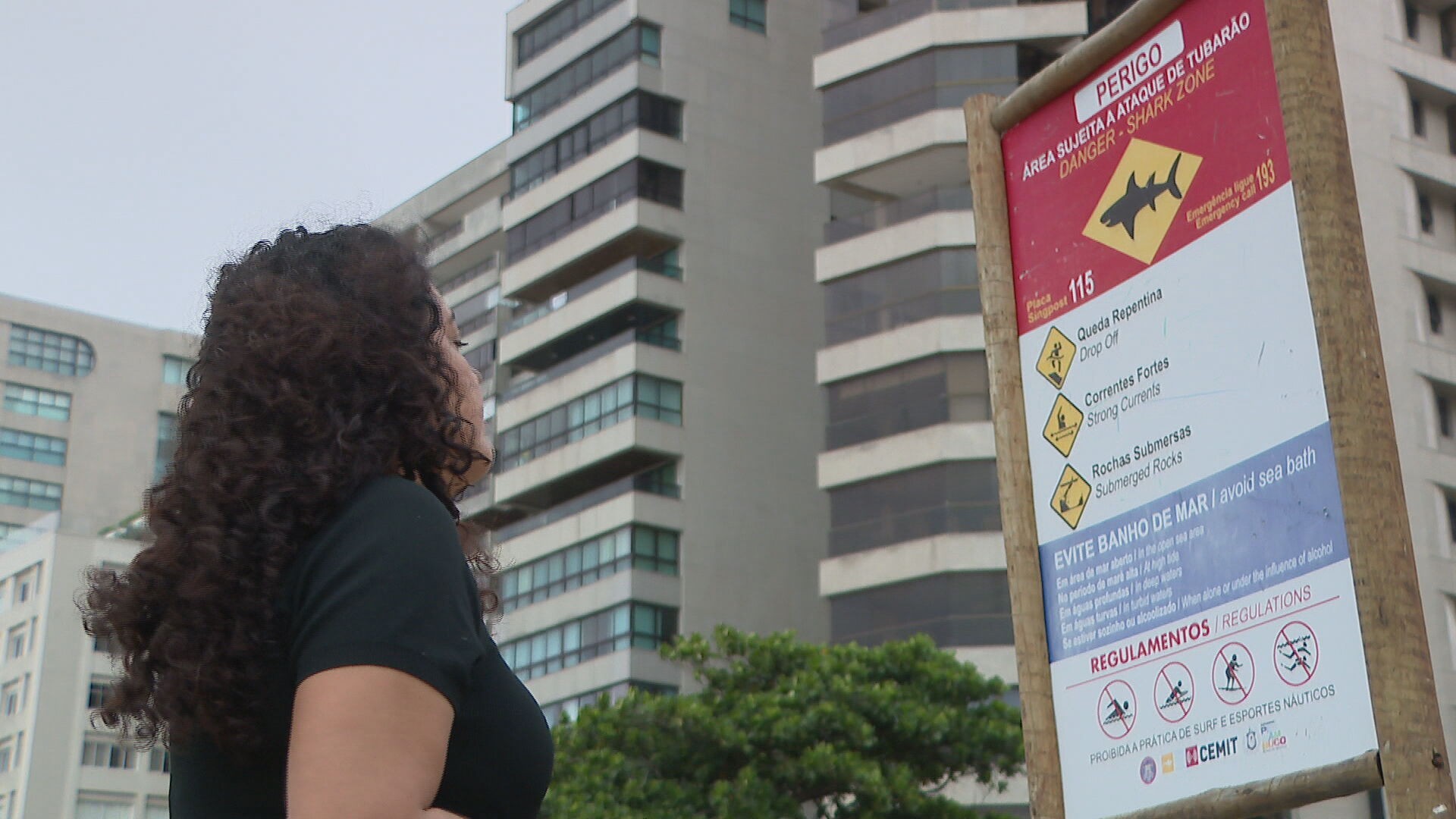 Mais de um terço das placas de alerta de ataques de tubarão instaladas há um ano em PE foram depredadas, diz Cemit