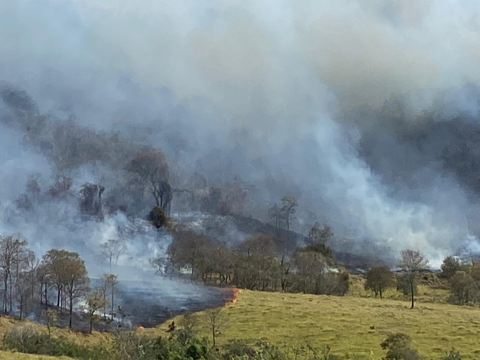 Incêndio atinge área próxima da Estação Ecológica de Ibicatu em Piracicaba avião ajuda no combate às chamas — Foto: Edijan Del Santo/EPTV