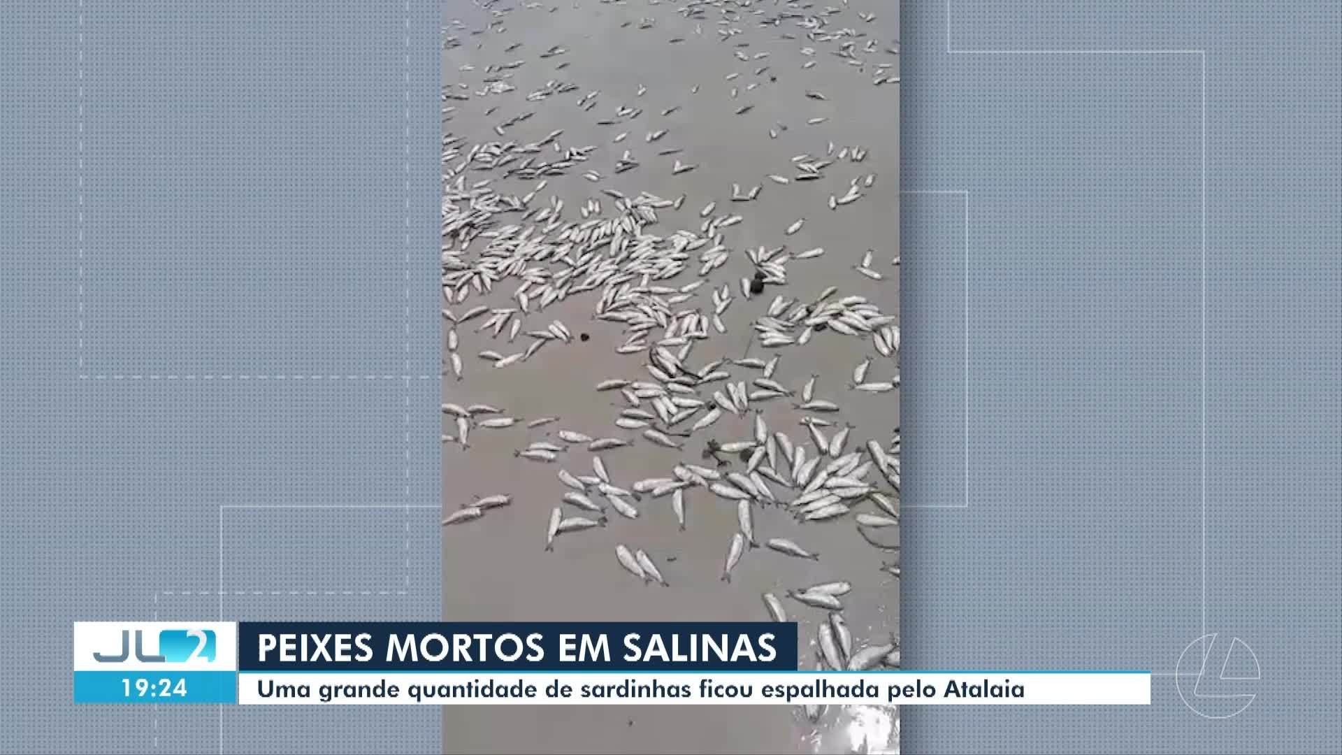 VÍDEOS: JL2 de sábado, 9 de maio de 2026